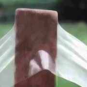 Тепличная прозрачная плёнка Светлица фото