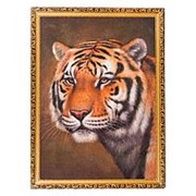 Картина “Тигр“ багет 58х78 см В65737 фотография