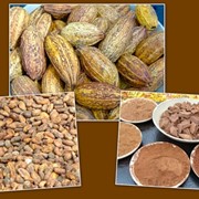 Какао порошок 12-14% жирности фото