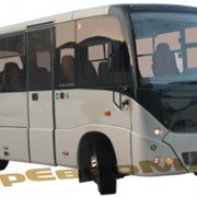 Автобусы МАЗ-241000 и МАЗ-241030 фото