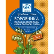 Боровника трава (ортилия однобокая), 50 гр