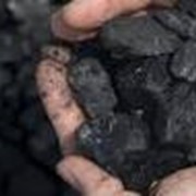 Уголь опт в Украине фото