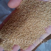 Товарное зерно амаранта фото