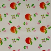 Силиконовая скатерть на стол 60 х 100 см с маленькими розами и помидорами фото