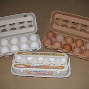 Яйца куриные КоКо-15-к.С0