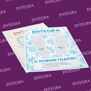 Бумажные полики Entegra фото