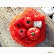 томат бобкат