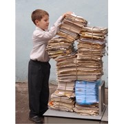 Закупка макулатуры фото