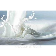 Синтелен W 400 , загуститель и суспендирующее вещество фото