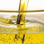 Техническое растительное масло фото