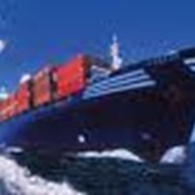 Морские контейнерные перевозки по всему миру через порты Одесса и Ильичевск фото