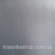 Скаден серебро фото