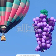 Композиции из воздушных шаров фото