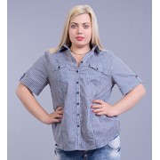 Блуза - рубашка сине-белая в полоску большие размеры 58-68 фото