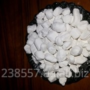 Каолин (белая глина) гранулы фото