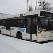 Автобусы сельские местного сообщения фото