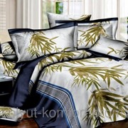 Комплект постельного белья ARYA Patten бамбук евро 1001854 фото