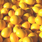 Лимоны декоративные