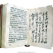 Программа делового китайского языка. фото