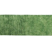 Цветочная липкая лента Stem-tex, 13мм*27,5м, цвет - “мох“/moss (USA) фотография