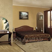 Мебель для спальни Ивушка-5-6 с рисунком модульная серия