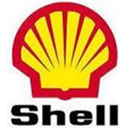 Компрессорное масло Shell Corena AS 46 фотография