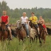 Катание на лошадях фото