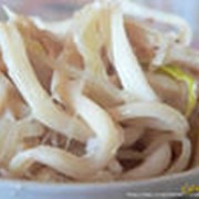 Креветки фото