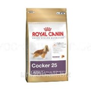 Сухой корм для собак Royal Canin Cocker 25 3кг фото