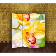 Ширма 'Орхидеи', 160 x 150 см фото