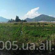 Продается земельный участок в Турции, Алания. 100 м до моря фото