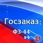 Сопровождение заказчиков в реализации 44 и 223 ФЗ фото