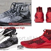 Кроссовки Puma Ignite Evoknit фотография