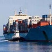 Перевозка опасных грузов водным путем. Тема курса: Перевозка опасных грузов водным путем. Шифр: 0102222 фото