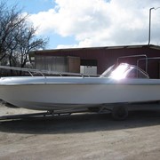 Касатка 645 фото