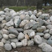 Булыжник (природный камень) фр.100+ фотография
