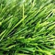 Трава искусственная для футбола 12000 dtex