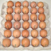Яйца куриные С2, С