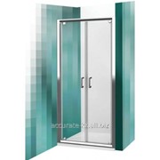 Дверь для душа 90*190 см. Roltechnik LLDO2/900 фото