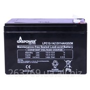 Cвинцово-кислотный аккумулятор для ИБП (UPS) Gaspower LPС 12-14 (DZM) фото