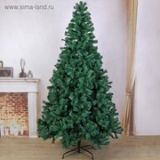 Ель голубая 270 см, d нижнего яруса 150 см, 1850 веток фото