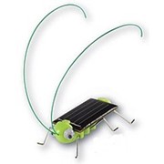Кузнечик на солнечной батарее фото