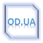 Регистрация домена «od.ua» фото