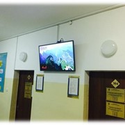 Реклама на мониторах в поликлиниках Алматы фото