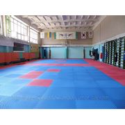 Единоборства, тхеквондо фото