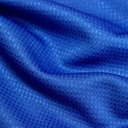 Трикотажное полотно (пума), цвет синий