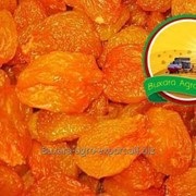 Курага Bukhara Agro Export