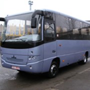 Автобус междугородный МАЗ-256170 фото