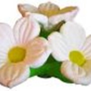 Пневмостенд - «Лилия на подставке» Надувная цветочная пневмогирлянда. Очень мобильная декорация. фото