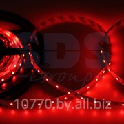 LED лента открытая, IP23, SMD 3528, 60 диодов/метр, 12V, цвет светодиодов красный NEON-NIGHT фотография